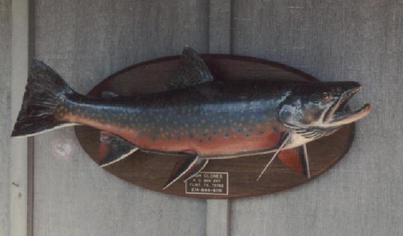 Old Bass Lodge Wood Decoration 24x 16 3D Fish Mounted Rare Heavy